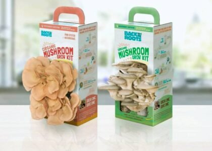 Mushroom Boxes